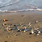 In 40067 Bibione
