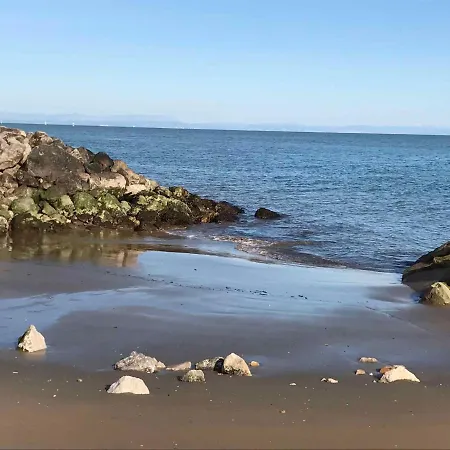 In 40067 * Бібіоне