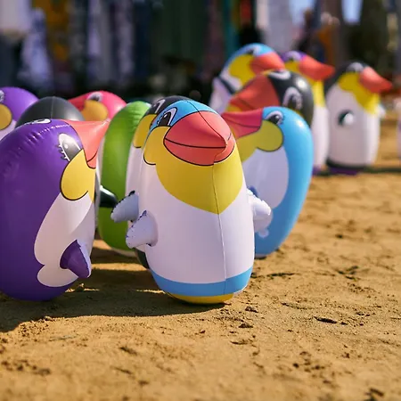 In 40067 Daire Bibione