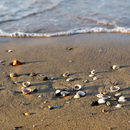 In 40067 Bibione