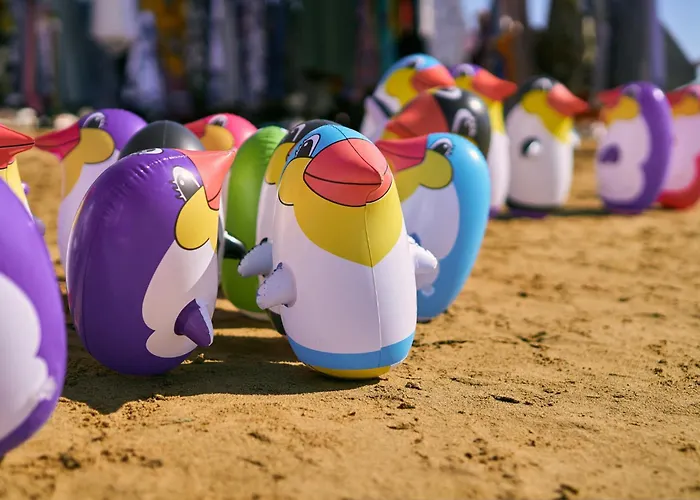 In 40067 Daire Bibione